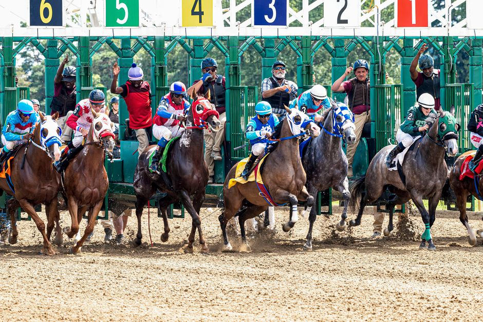 Reading a Race Bracket: How to Follow Your Pack's Derby Without Getting Lost